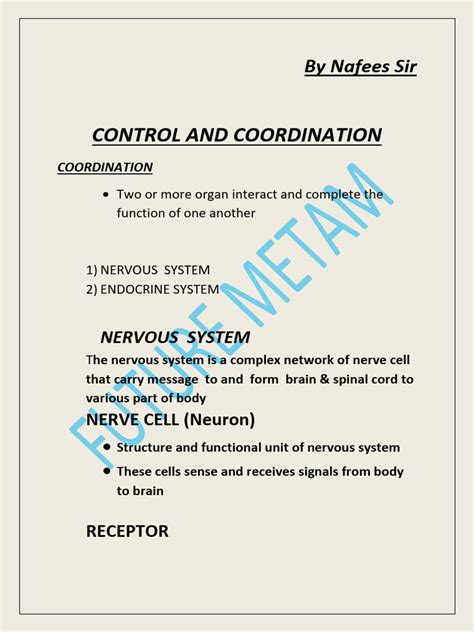 Image result for Control and Coordination Class 12