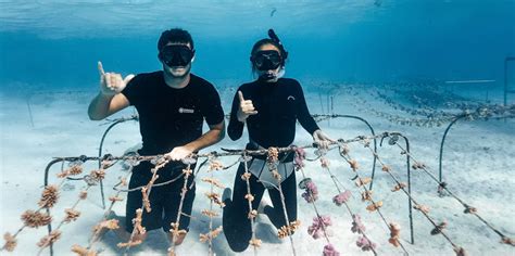 Protection of Ecosystem 的图像结果