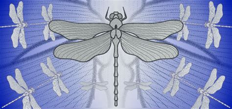 Embroidery Digitizing Digitizer : Digitizing Factory