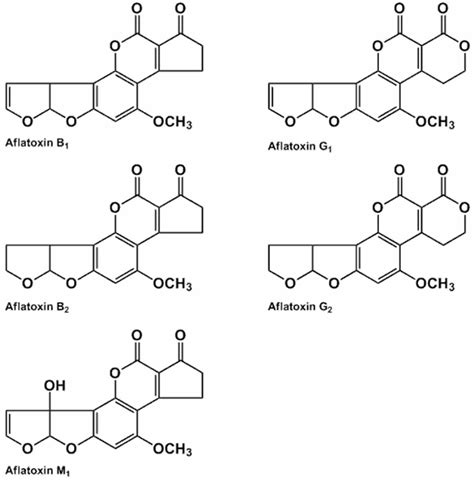 Aflatoxin definition, food sources of aflatoxin, aflatoxin symptoms & cancer