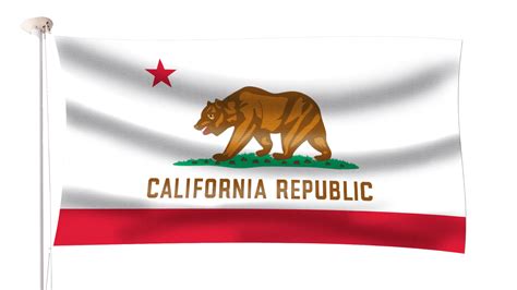 California State Flag California State Flag Pin | PinMart