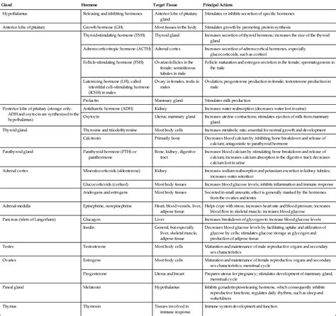 Image result for Endocrine System Table