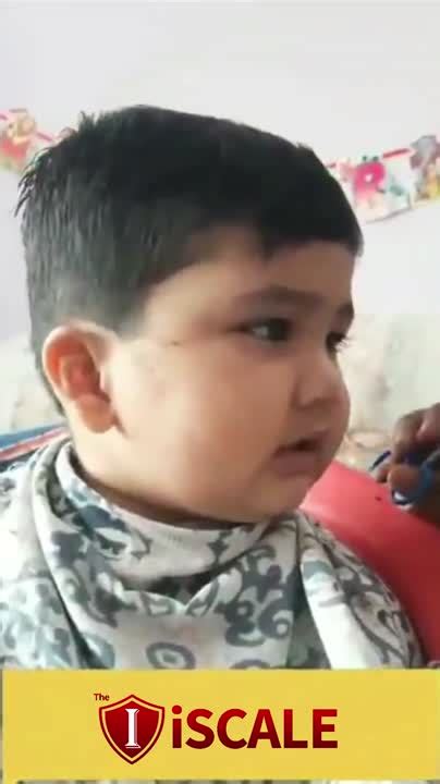 Image result for The Iscale Python Project