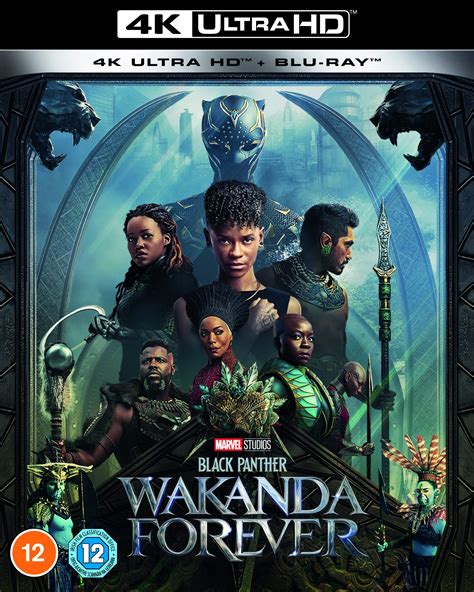Amazon.com: Marvel Studio's Black Panther: Wakanda Forever UHD [Blu-ray ...