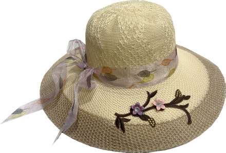 Hats - Buy Best Hats Online in India | Shopsy