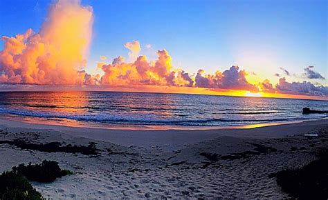 Great Guana Cay Tourism (2023): Best of Great Guana Cay - Tripadvisor