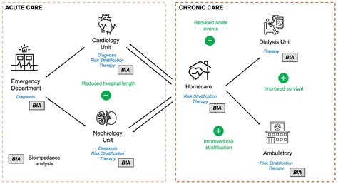Bioimpedance Analysis in CKD and HF Patients: A Critical Review of ...