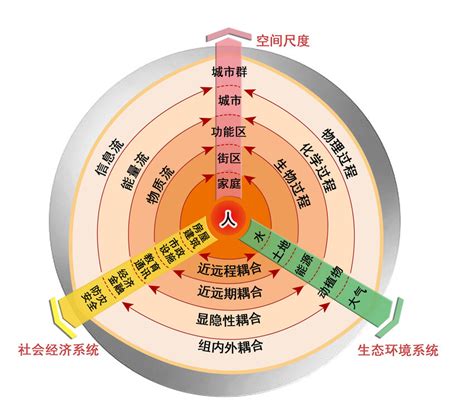 Image result for Complex System Examples