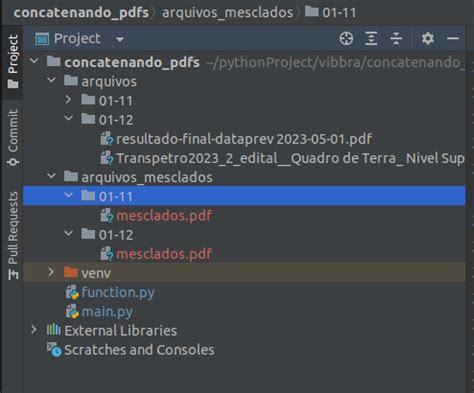 Image result for Justin Liaam Python PDF Layout