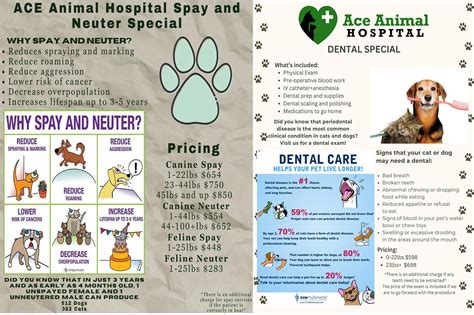 Ace Animal Hospital - Veterinarian in San Pedro, CA
