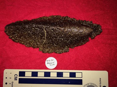 Image result for Collection Database