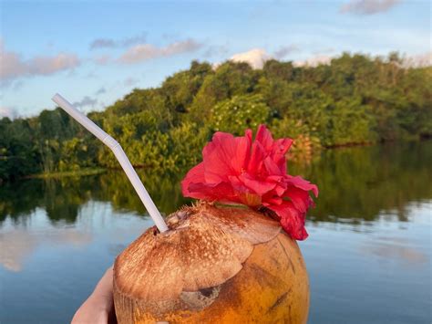 RIVER VIEWER SRI LANKA BOAT TOURS (2025) All You Need to Know BEFORE ...