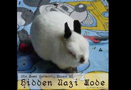 Image result for Look Up Really Fluffy Bunnies