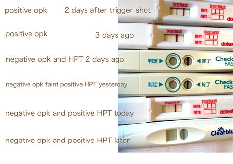 Hcg Trigger Shot Injection