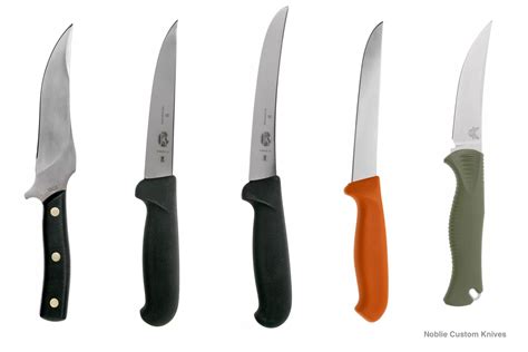 Types of Hunting Knives: A Comprehensive Guide for Hunters - Noblie