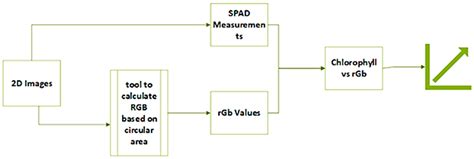 Beyond Color: Phenomic and Physiological Tomato Harvest Maturity ...