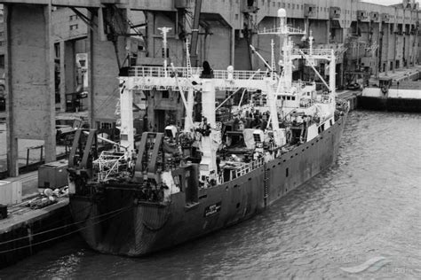 ECHIZEN MARU, Fishing Vessel - Details and current position - IMO ...