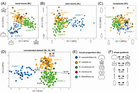 Geometric Morphometric Versus Genomic Patterns in a Large Polyploid ...