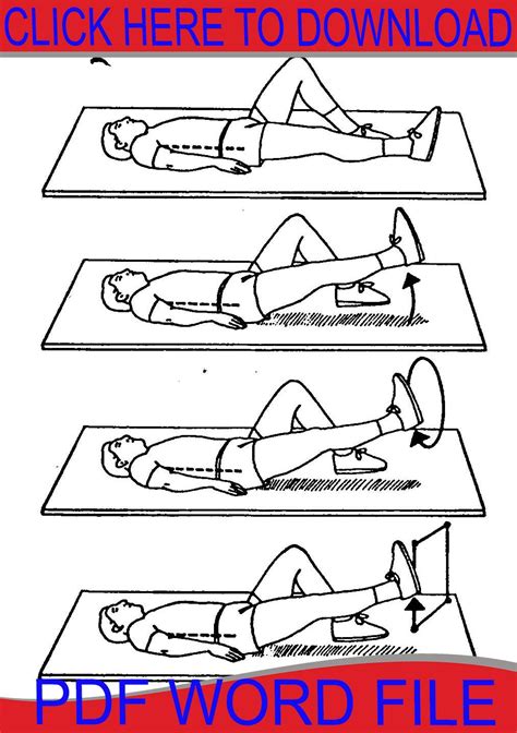 Image result for Physical Therapy Back Exercises