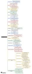 Element and Principles of Art Mind Map - UGC NET Crash Course Home Science