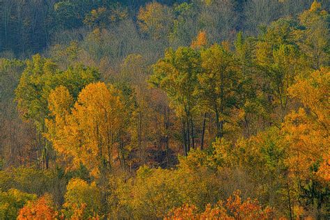 Josh Friedman Photography: Autumn Woods: HDR Photographs in Bucks ...