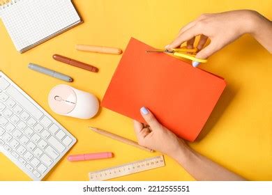 Image result for Computer Mouse for Children