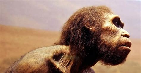 Image result for Praetorian Humankind