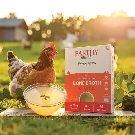 Buy Healthy Chicken Bone Broth Soup – Hot & Sour Taste
