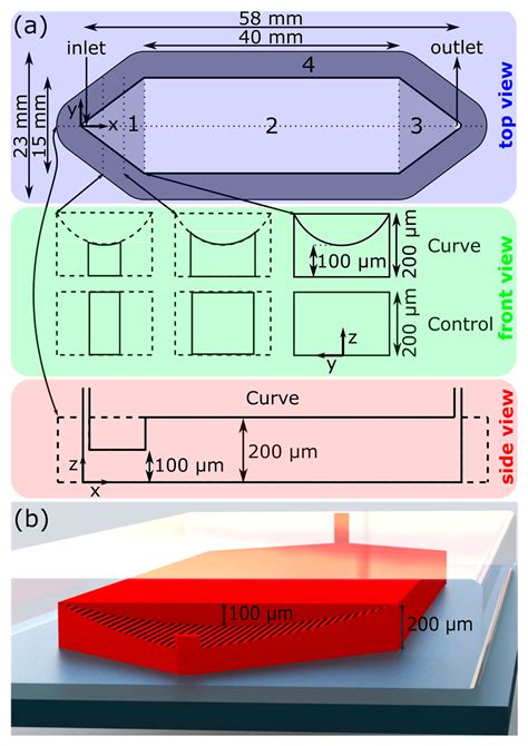 Flattening of Diluted Species Profile via Passive Geometry in a ...