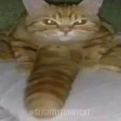 I Dunno 🔞 on Twitter: "Futanari Noob #rule34nsfw #nsfw #nsfwart #rule34 ...