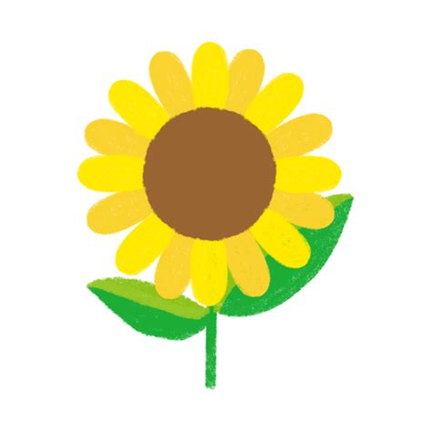 Image result for Data Visualization Project for Beginner in Python