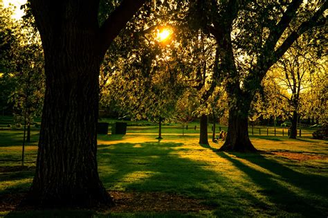 Image result for Craigslist Classified Denver