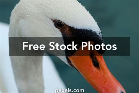 High Resolution Portrait 的图像结果