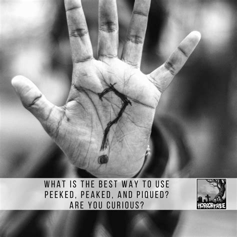 What Is The Best Way To Use Peeked, Peaked, And Piqued? Are You Curious ...