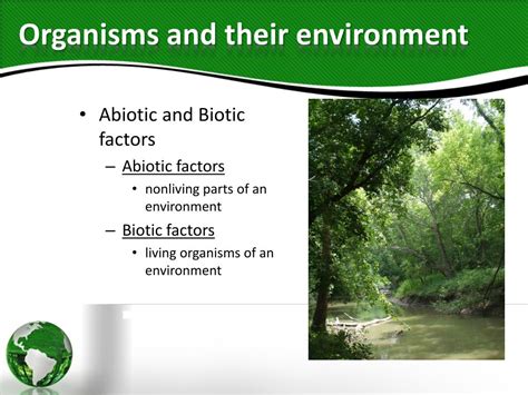 Ecology 的图像结果