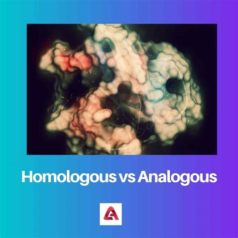 Homologous vs Analogous: Difference and Comparison