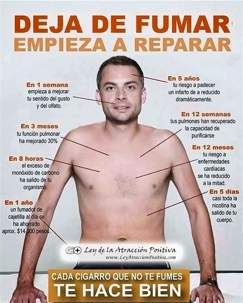 14 Métodos para Dejar de Fumar - Ley de la Atracción Positiva