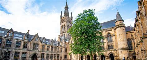 Top 10 Universities in the World: Why Experts Recommend Them