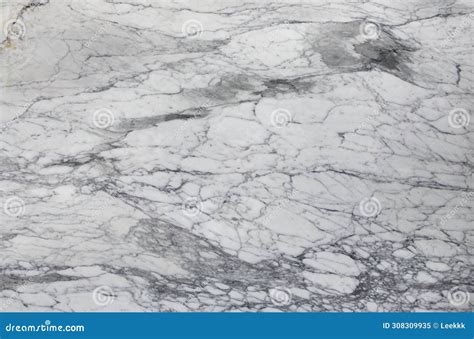 BIG WHITE FLOWER Marble Background Natural Marble Plate Stone Texture ...