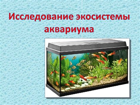 Конспект и презентация по окружающему миру на тему "Аквариум ...