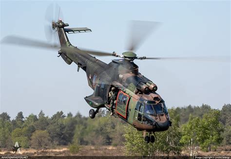 AS-532U2 Cougar Mk2 - ВВС Нидерландов - Aviationphotos.net