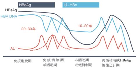 联新NR510 HV-E 临床移动终端 手持终端PDA 护士数字助理NDA-广东省康网星科技有限公司