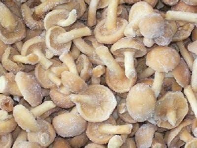 Frozen Mushrooms Market Outlook, Key Segment and Forecast from 2020 ...