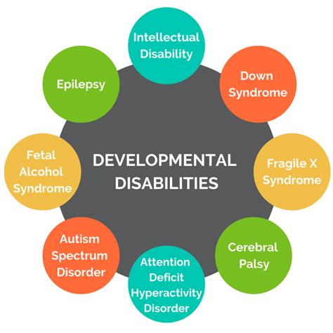 Developmental Disability Practices 的图像结果