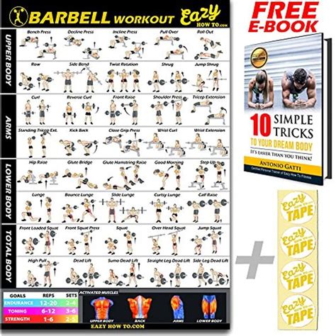 Image result for Exercise Spring Bar Workout Chart