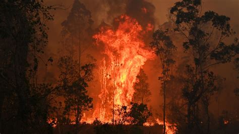 Video Shows New South Wales Australian Fire and Rescue Team Overrun by ...