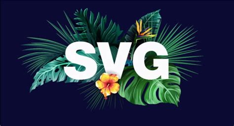 Image result for SVG Vector Graphics