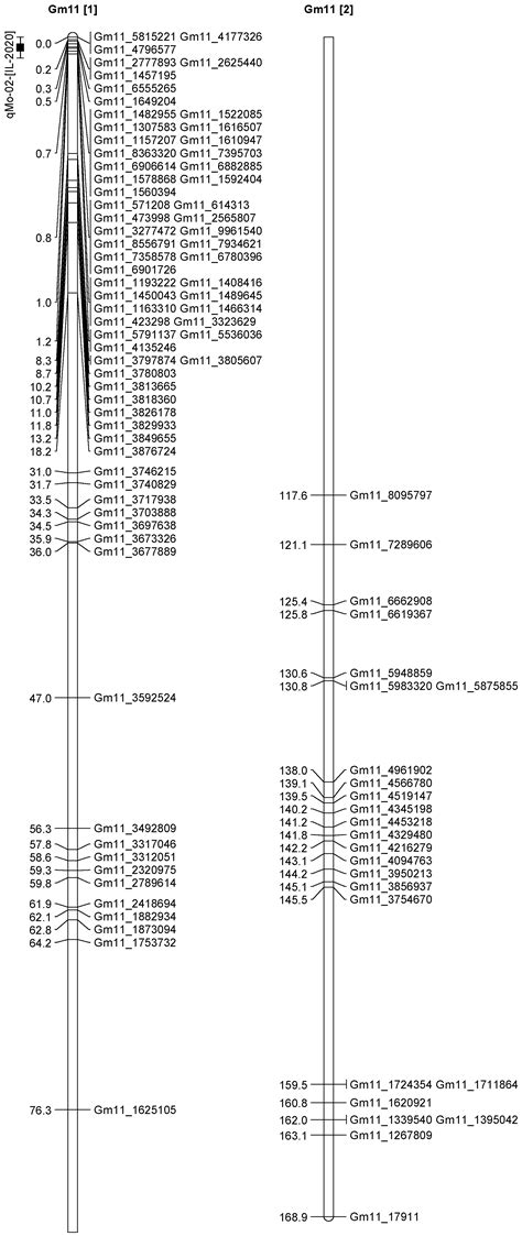 Genetic Mapping for QTL Associated with Seed Nickel and Molybdenum ...