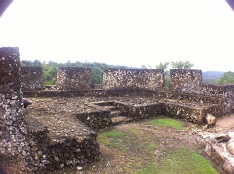 Buton - JungleKey.in Image