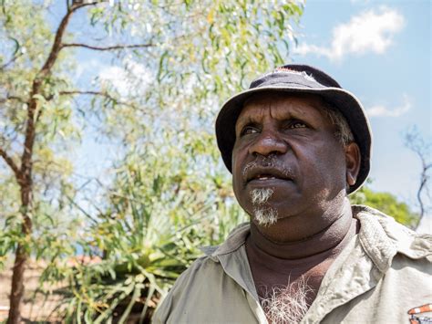 Dry Australian Natives at Damien Tackett blog